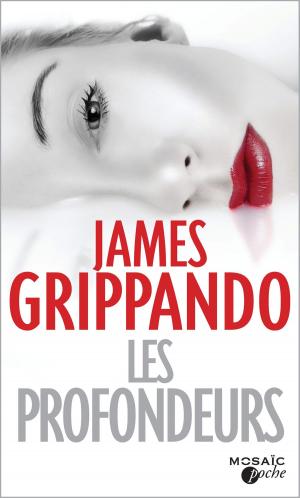 Book cover of Les profondeurs