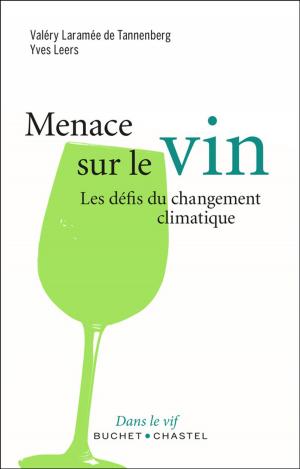 Cover of Menace sur le vin