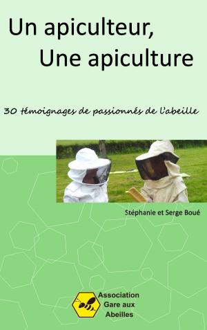 Cover of the book Un Apiculteur, une Apiculture by Jürgen Lang