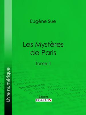 Cover of the book Les mystères de Paris by Cameron Gallant