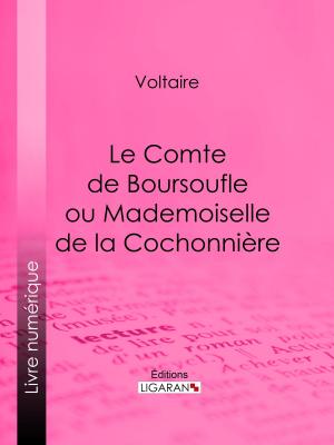 Cover of the book Le Comte de Boursoufle ou Mademoiselle de la Cochonnière by Marquis de Sade, Ligaran