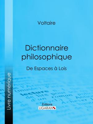 Cover of the book Dictionnaire philosophique by Arthur Pougin, Ligaran