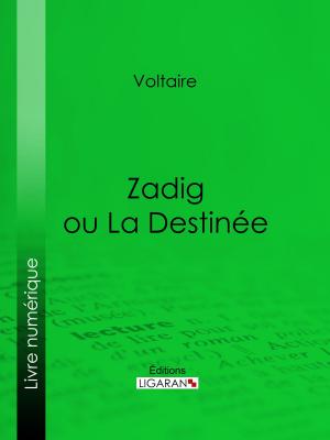 Cover of the book Zadig ou La Destinée by Molière, Ligaran