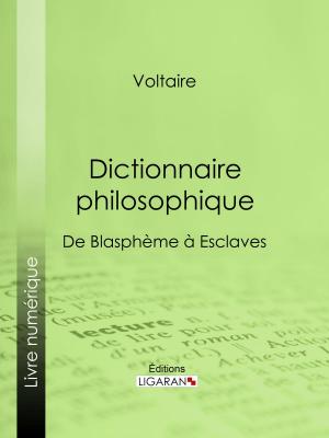 Cover of the book Dictionnaire philosophique by André Soulange-Bodin, Ligaran