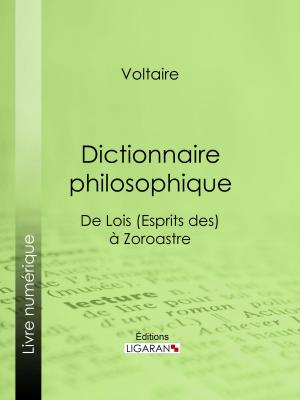 Cover of the book Dictionnaire philosophique by Alfred de Musset, Ligaran