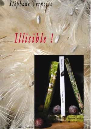Cover of the book Illisible ! by Stéphane Ternoise