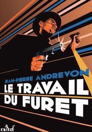 Cover of the book Le Travail du Furet by Danielle Martinigol