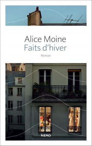 Cover of the book Faits d'hiver by Camille de Perreti