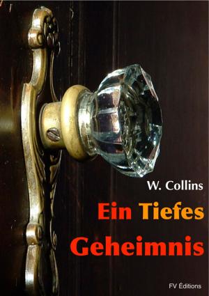 Cover of the book Ein tiefes Geheimnis by Concepción Arenal