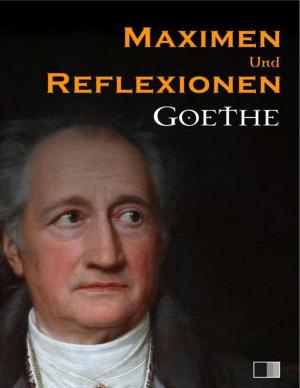 Book cover of Maximen und Reflexionen