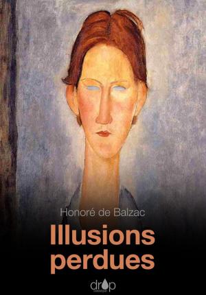 Cover of the book Illusions perdues by Alphonse Momas