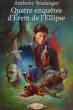 Book cover of Quatre enquêtes d'Erem de l'Ellipse