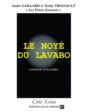 Book cover of Le noyé du lavabo