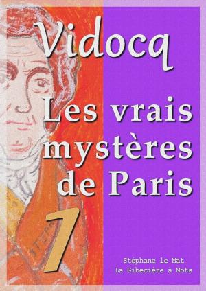 Cover of the book Les vrais mystères de Paris by Jules Verne