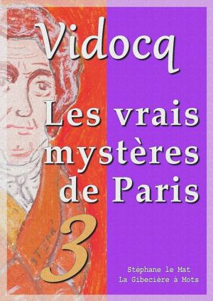 Cover of the book Les vrais mystères de Paris by Maurice Leblanc