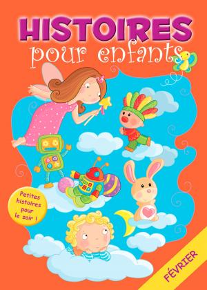 Cover of the book 28 histoires à lire avant de dormir en février by Collectif, Chansons françaises