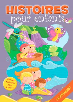 Cover of the book 30 histoires à lire avant de dormir en novembre by Jans Ivens, Célestin le magicien