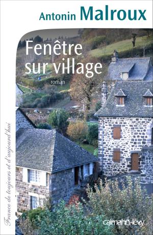 Cover of the book Fenêtre sur village by Jean-Paul Malaval