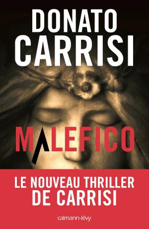 Cover of the book Malefico by Jean Anglade