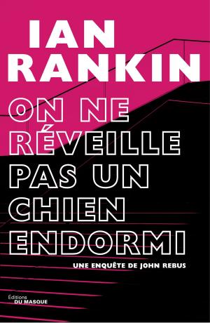 Cover of the book On ne réveille pas un chien endormi by Sylvain Blanchot