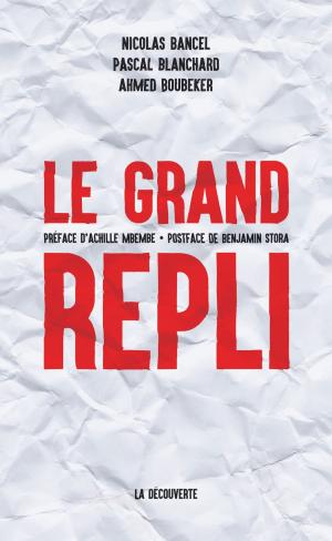 Cover of the book Le grand repli by Mathieu RIGOUSTE, Mathieu RIGOUSTE