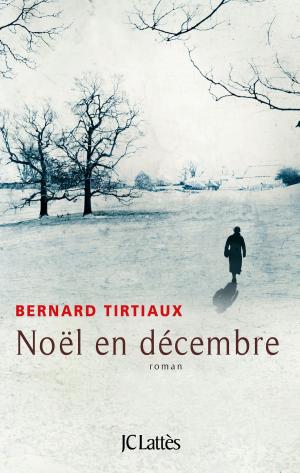 Cover of the book Noël en décembre by Monica Sabolo