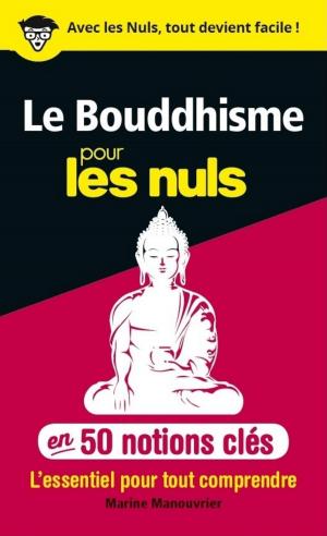 Cover of the book 50 notions clés sur le Bouddhisme pour les Nuls by YAGUEL DIDIER