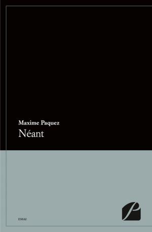 Cover of the book Néant by Lionel Pradelier