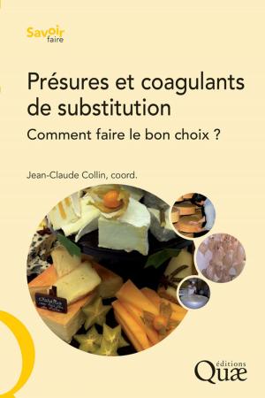 Cover of the book Présures et coagulants de substitution by Paul Nicolas, Denis Tourvieille de Labrouhe, Felicity Vear, Etienne Pilorgé