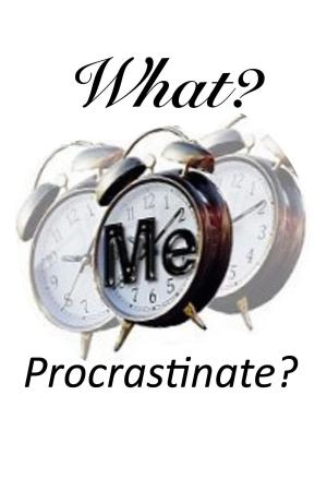 Cover of the book What? Me Procrastinate? by Hogy Ja