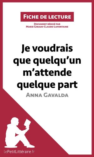 Cover of the book Je voudrais que quelqu'un m'attende quelque part d'Anna Gavalda by Dominique Coutant-Defer, lePetitLittéraire.fr