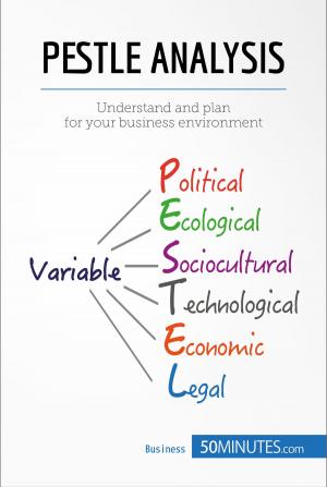 Cover of the book PESTLE Analysis by Loet Velmans