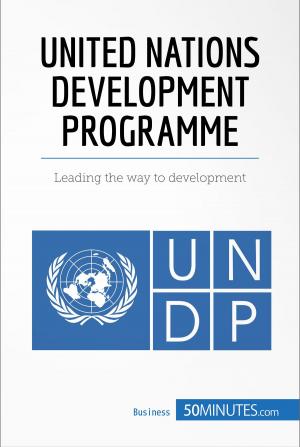 Cover of United Nations Development Programme