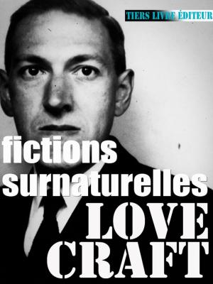 Cover of the book Fictions surnaturelles by François Bon