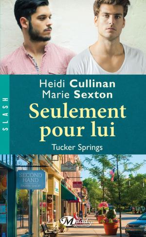 Cover of the book Seulement pour lui by Sophie Dabat
