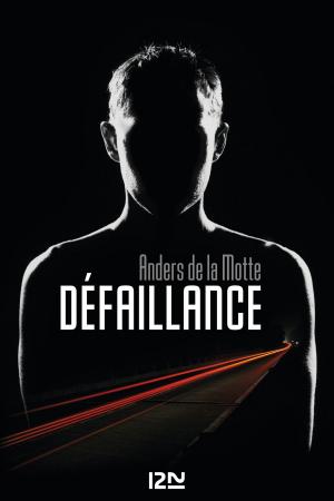 Book cover of Défaillance