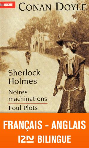 Cover of the book Bilingue français-anglais : Noires machinations - Foul Plots by John CONNOLLY
