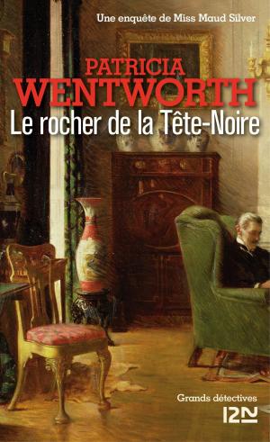 Cover of the book Le rocher de la Tête-Noire by Nicolas REMIN