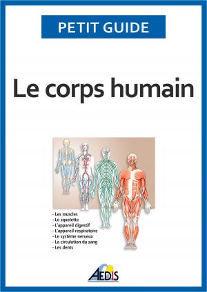 Cover of the book Le corps humain by Dawn Michelle Everhart