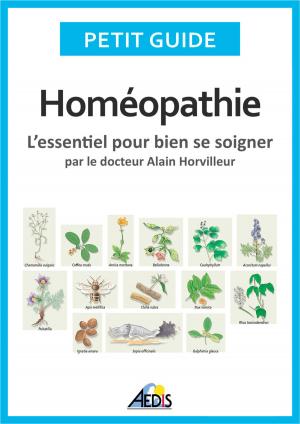 Cover of the book Homéopathie by Petit Guide, Pierre Siou