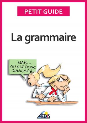 Cover of the book La grammaire by Petit Guide
