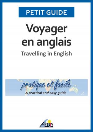 Cover of the book Voyager en anglais by Petit Guide, Pierre Siou