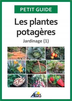 Cover of the book Les plantes potagères by Petit Guide, Martina Krčcmár