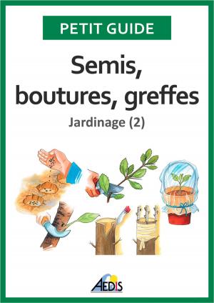 Cover of the book Semis, boutures, greffes by Petit Guide, Martina Krčcmár