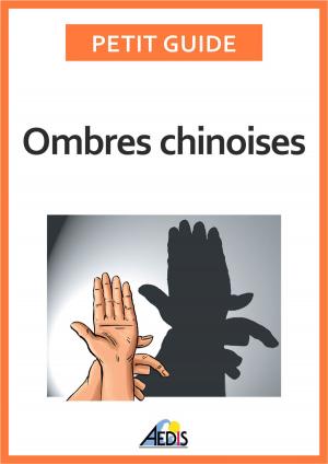 Cover of the book Ombres chinoises by Petit Guide, Martina Krčcmár