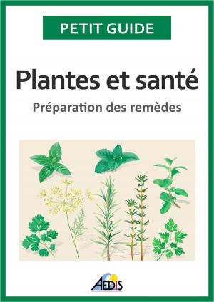 Cover of the book Plantes et santé by Petit Guide