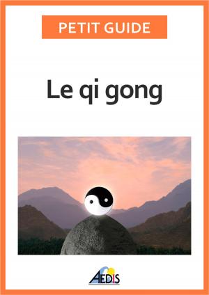 Cover of the book Le qi gong by Petit Guide
