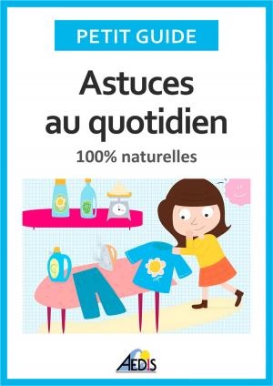Cover of the book Astuces au quotidien by Petit Guide