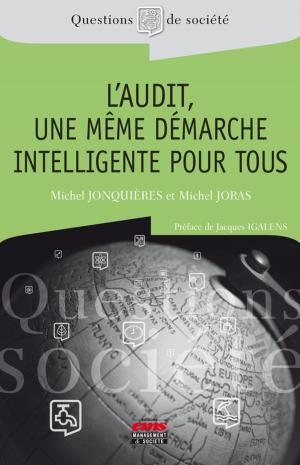 Cover of the book L'audit, une même démarche intelligente pour tous by Yann Bouchery, Anicia Jaegler