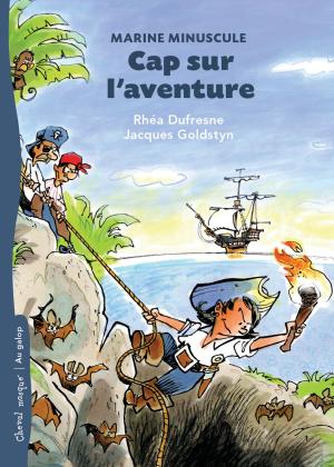 Cover of the book Cap sur l'aventure by Luc Baranger